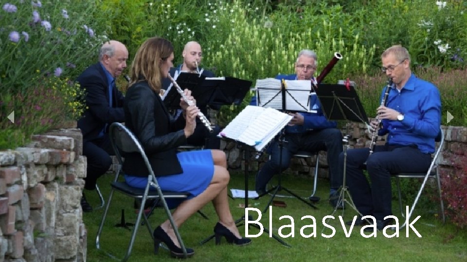 Blaasvaak 