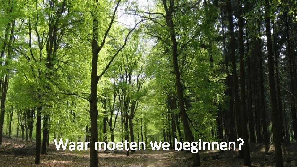Waar moeten we beginnen? 