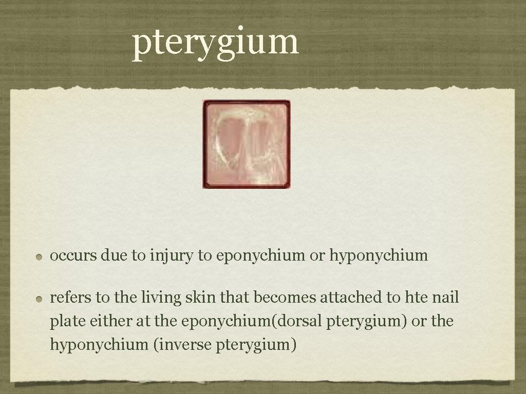 pterygium occurs due to injury to eponychium or hyponychium refers to the living skin