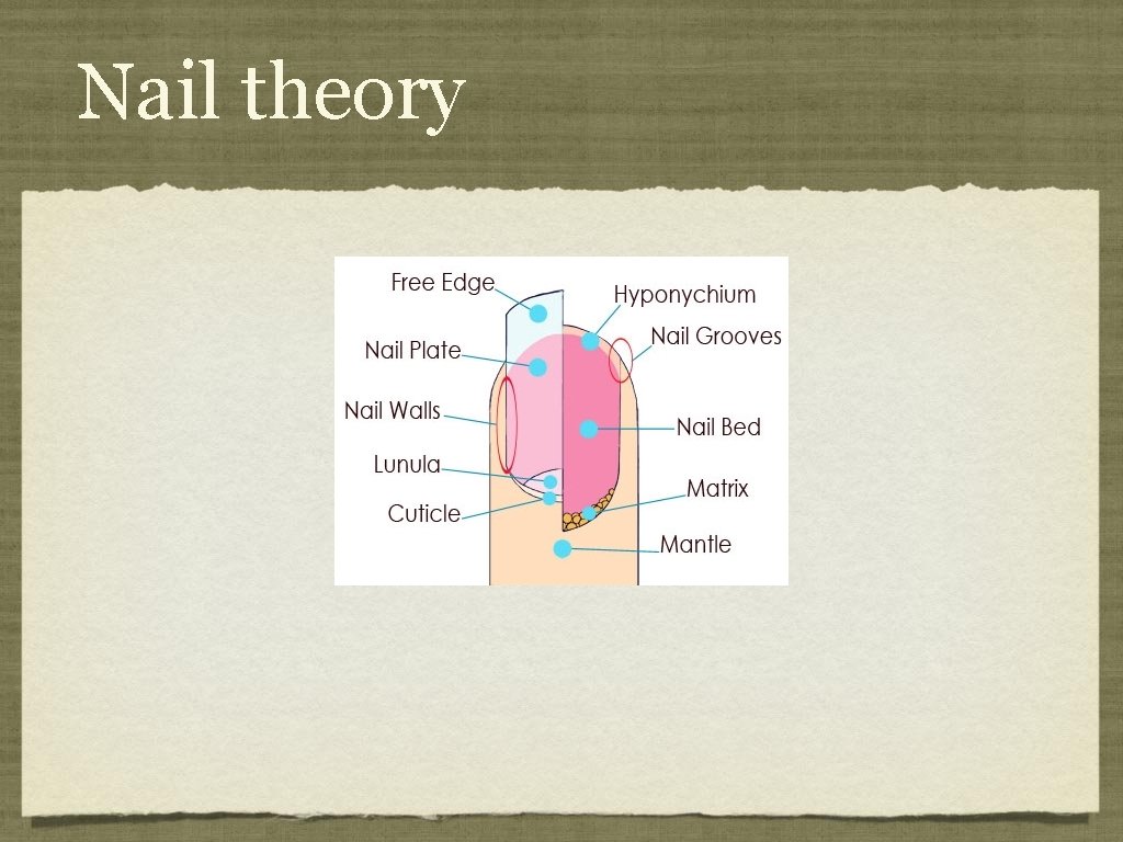 Nail theory 