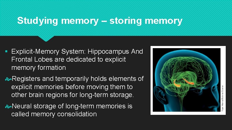 Studying memory – storing memory § Explicit-Memory System: Hippocampus And Frontal Lobes are dedicated