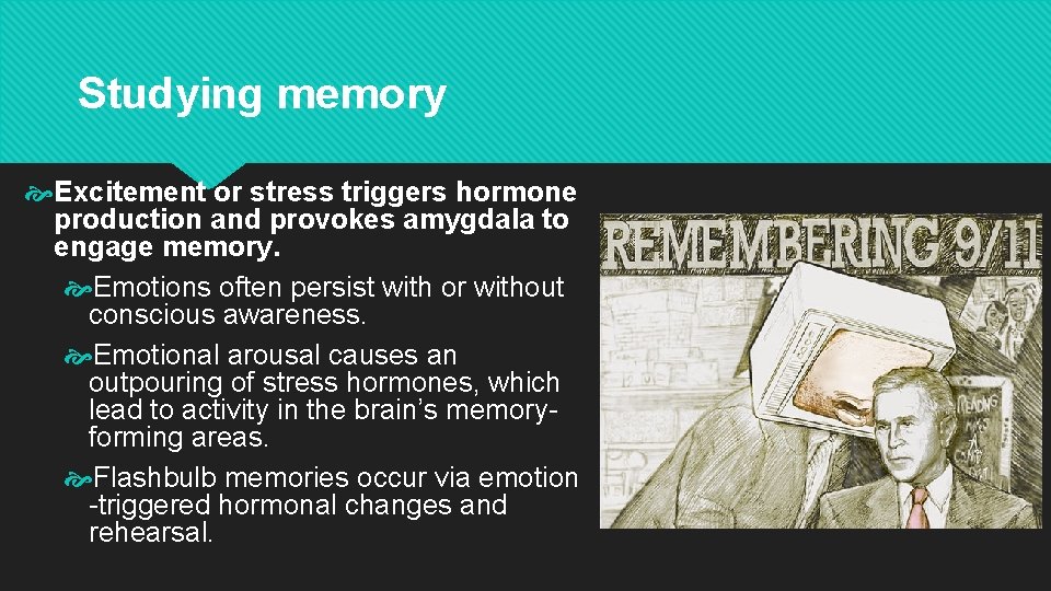 Studying memory Excitement or stress triggers hormone production and provokes amygdala to engage memory.