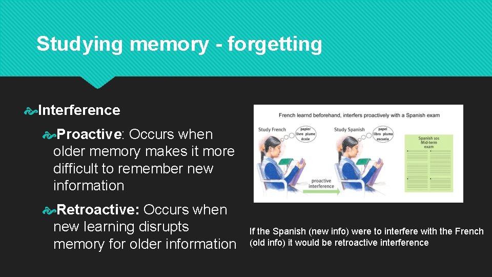 Studying memory - forgetting Interference Proactive: Occurs when older memory makes it more difficult