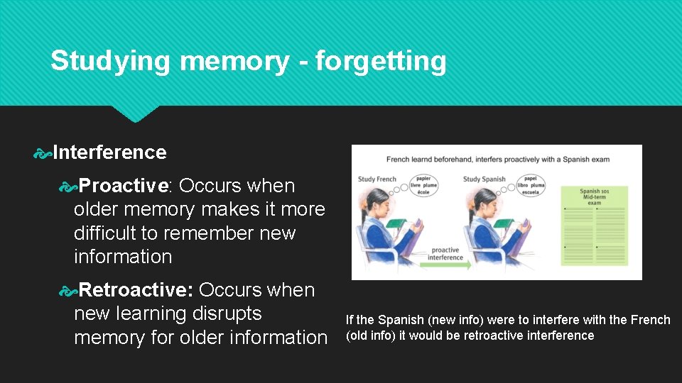 Studying memory - forgetting Interference Proactive: Occurs when older memory makes it more difficult Studying memory - forgetting Interference Proactive: Occurs when older memory makes it more difficult
