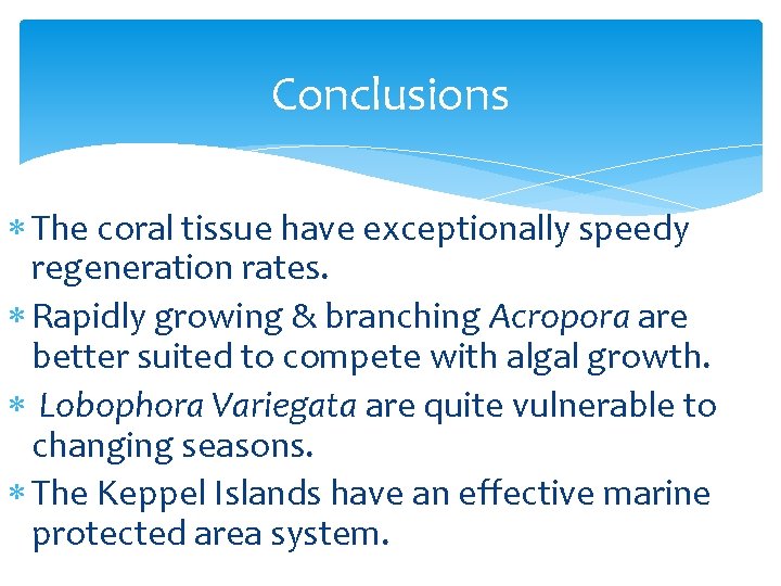 Conclusions The coral tissue have exceptionally speedy regeneration rates. Rapidly growing & branching Acropora