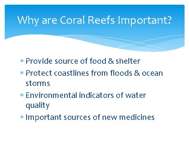 Why are Coral Reefs Important? Provide source of food & shelter Protect coastlines from
