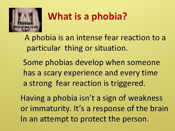 What is a phobia? A phobia is an intense fear reaction to a particular