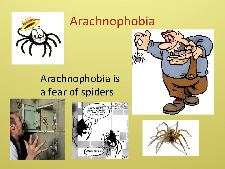 Arachnophobia is a fear of spiders 