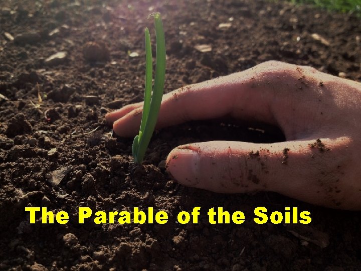 The Parable of the Soils 