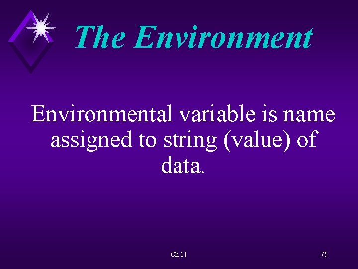 The Environmental variable is name assigned to string (value) of data. Ch 11 75