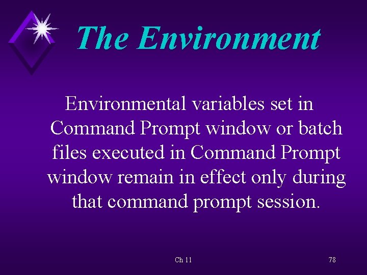 The Environmental variables set in Command Prompt window or batch files executed in Command
