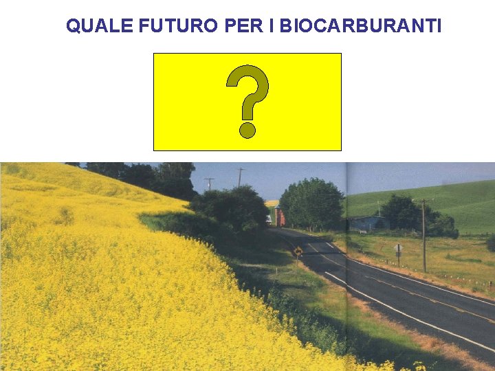 QUALE FUTURO PER I BIOCARBURANTI 