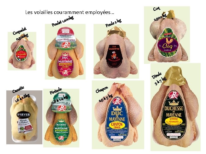 Coq Les volailles couramment employées… elet u q o C 0 kg 0 5