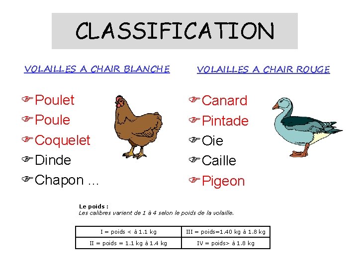 CLASSIFICATION VOLAILLES A CHAIR BLANCHE FPoulet FPoule FCoquelet FDinde FChapon … VOLAILLES A CHAIR