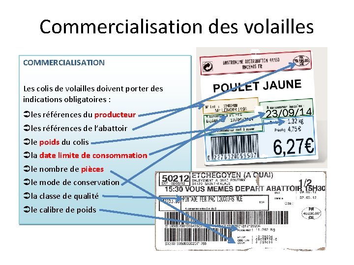 Commercialisation des volailles COMMERCIALISATION Les colis de volailles doivent porter des indications obligatoires :