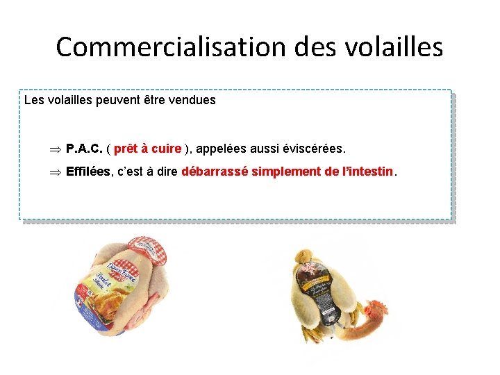 Commercialisation des volailles Les volailles peuvent être vendues Þ P. A. C. ( prêt