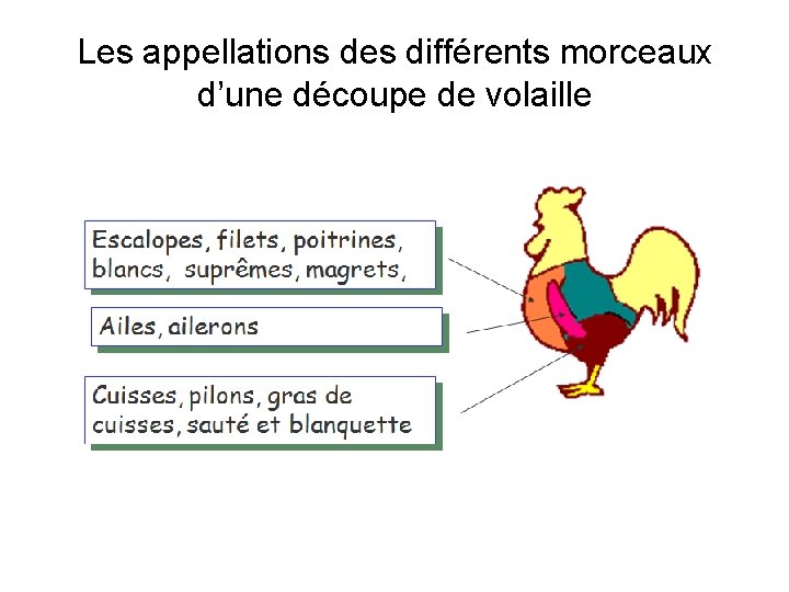 Les appellations des différents morceaux d’une découpe de volaille 