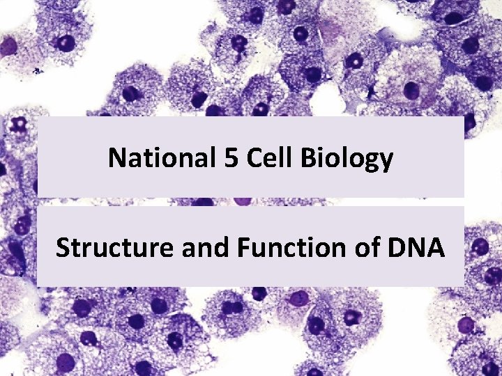 National 5 Cell Biology Structure and Function of DNA 