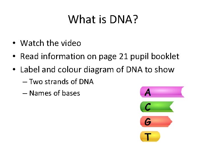What is DNA? • Watch the video • Read information on page 21 pupil