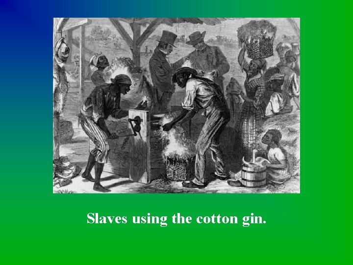 Slaves using the cotton gin. 