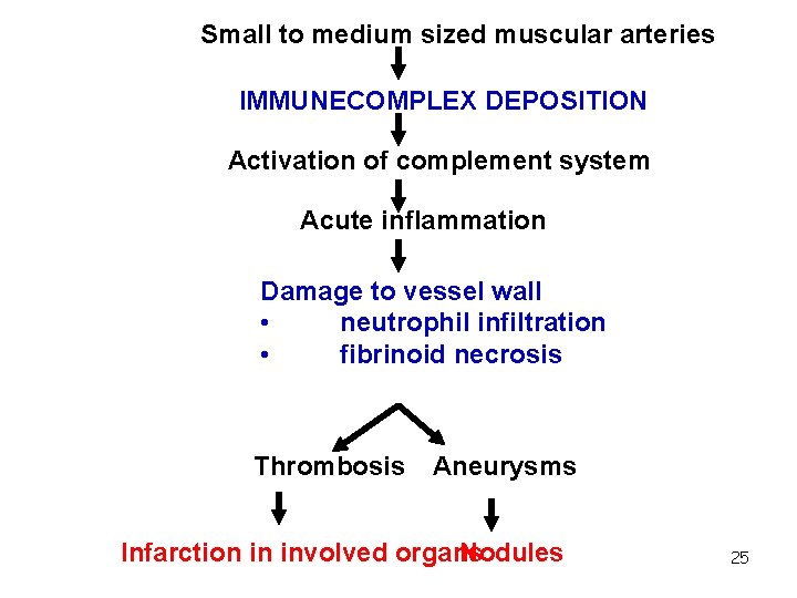 Small to medium sized muscular arteries IMMUNECOMPLEX DEPOSITION Activation of complement system Acute inflammation