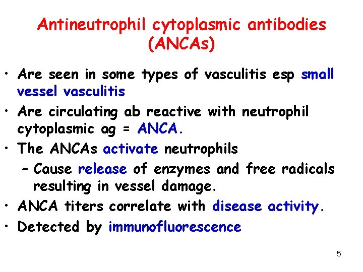 Antineutrophil cytoplasmic antibodies (ANCAs) • Are seen in some types of vasculitis esp small
