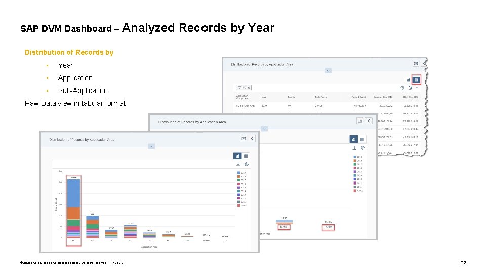SAP DVM Dashboard – Analyzed Records by Year Distribution of Records by • Year