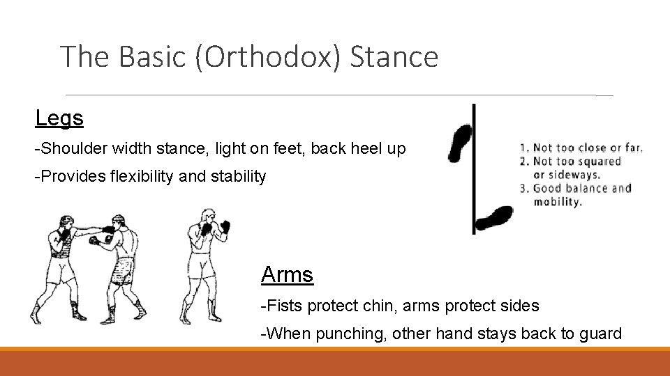 The Basic (Orthodox) Stance Legs -Shoulder width stance, light on feet, back heel up