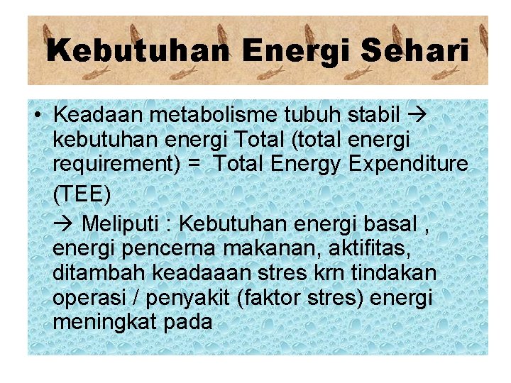 Kebutuhan Energi Sehari • Keadaan metabolisme tubuh stabil kebutuhan energi Total (total energi requirement)