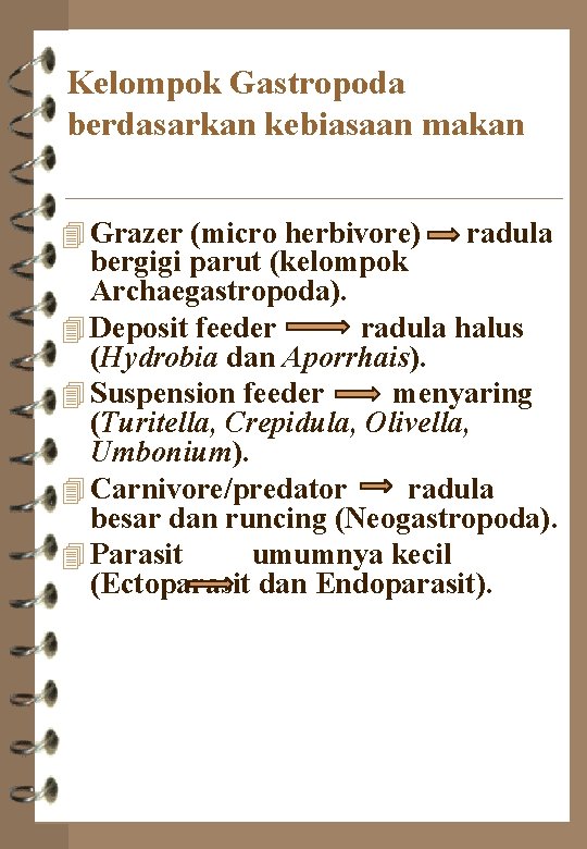 Kelompok Gastropoda berdasarkan kebiasaan makan 4 Grazer (micro herbivore) radula bergigi parut (kelompok Archaegastropoda).