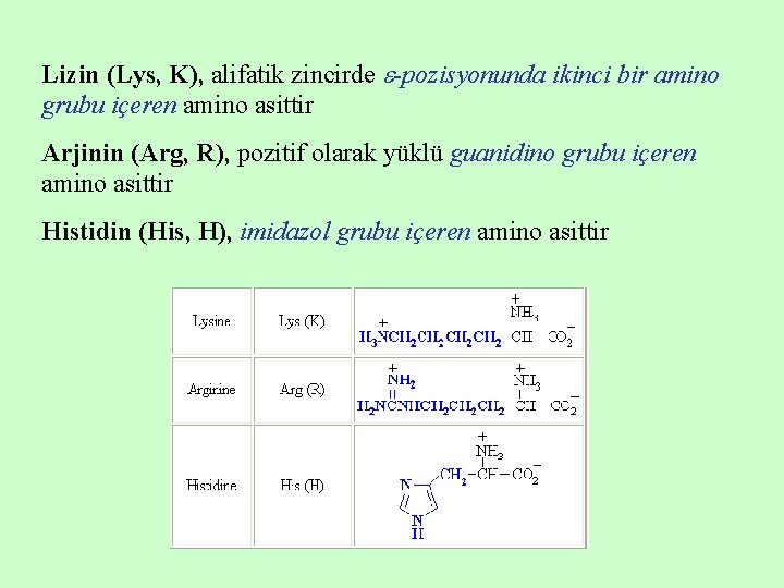 Lizin (Lys, K), alifatik zincirde -pozisyonunda ikinci bir amino grubu içeren amino asittir Arjinin