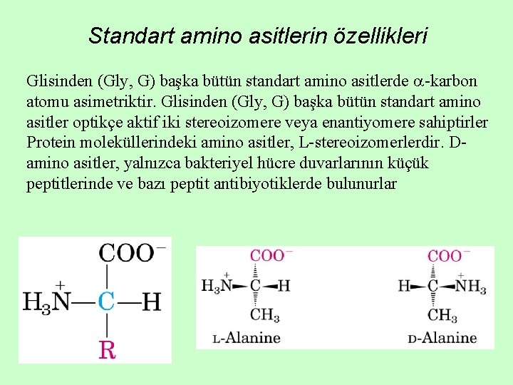 Standart amino asitlerin özellikleri Glisinden (Gly, G) başka bütün standart amino asitlerde -karbon atomu