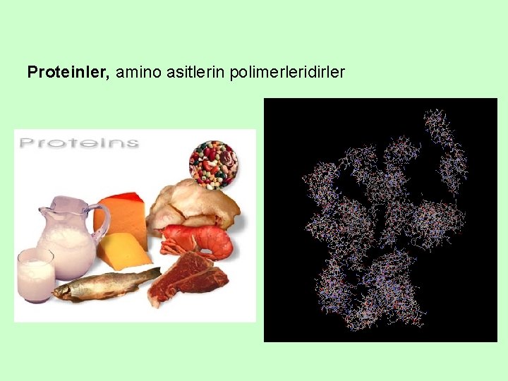 Proteinler, amino asitlerin polimerleridirler 