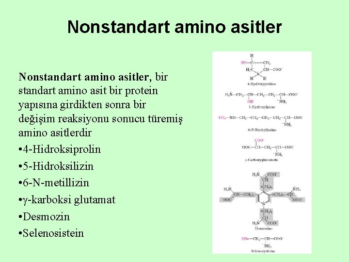 Nonstandart amino asitler, bir standart amino asit bir protein yapısına girdikten sonra bir değişim