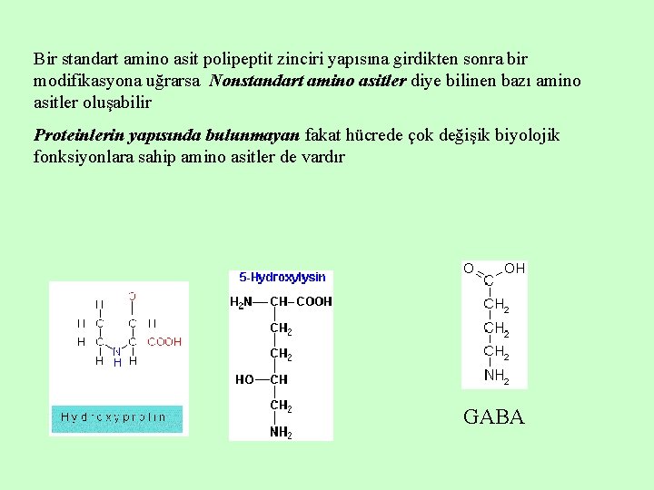 Bir standart amino asit polipeptit zinciri yapısına girdikten sonra bir modifikasyona uğrarsa Nonstandart amino