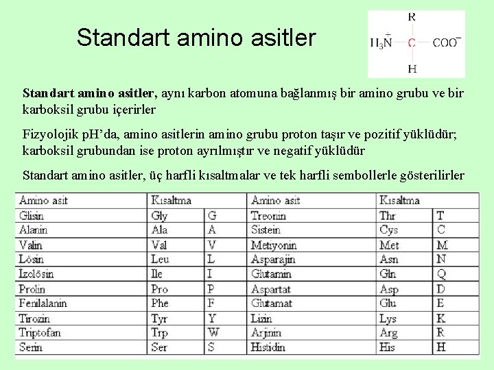 Standart amino asitler, aynı karbon atomuna bağlanmış bir amino grubu ve bir karboksil grubu