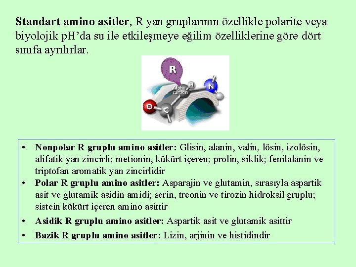 Standart amino asitler, R yan gruplarının özellikle polarite veya biyolojik p. H’da su ile