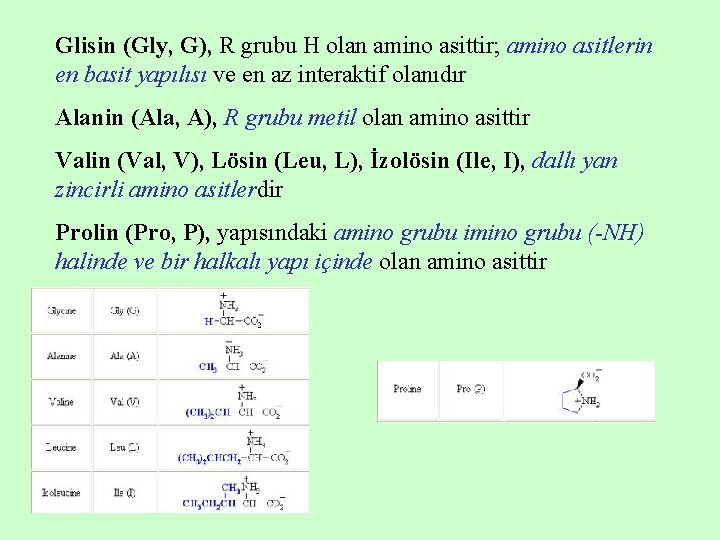 Glisin (Gly, G), R grubu H olan amino asittir; amino asitlerin en basit yapılısı