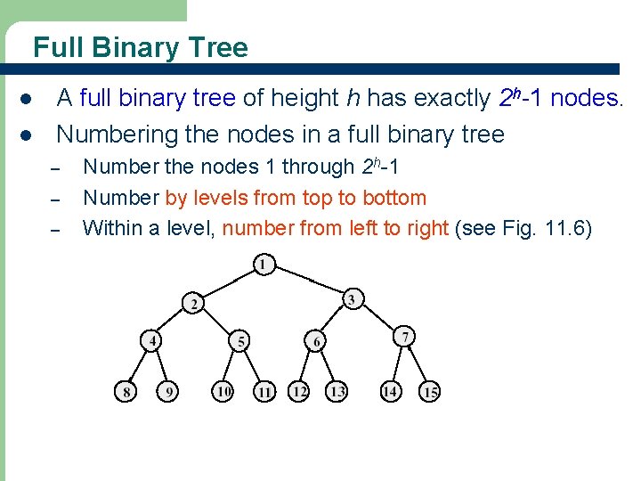 Full Binary Tree l l A full binary tree of height h has exactly