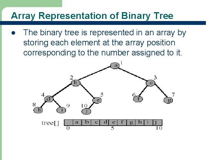 Array Representation of Binary Tree l 23 The binary tree is represented in an