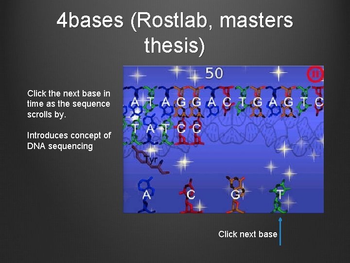4 bases (Rostlab, masters thesis) Click the next base in time as the sequence