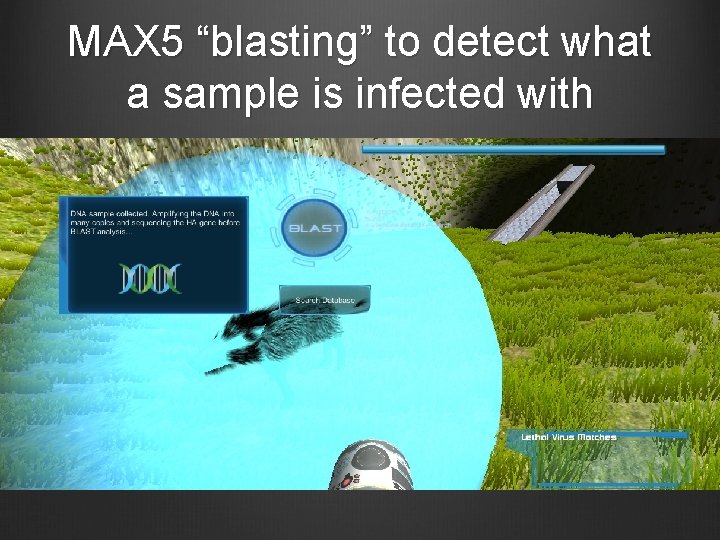 MAX 5 “blasting” to detect what a sample is infected with 