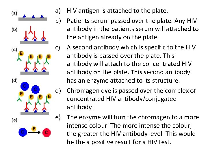 a) HIV antigen is attached to the plate. b) Patients serum passed over the