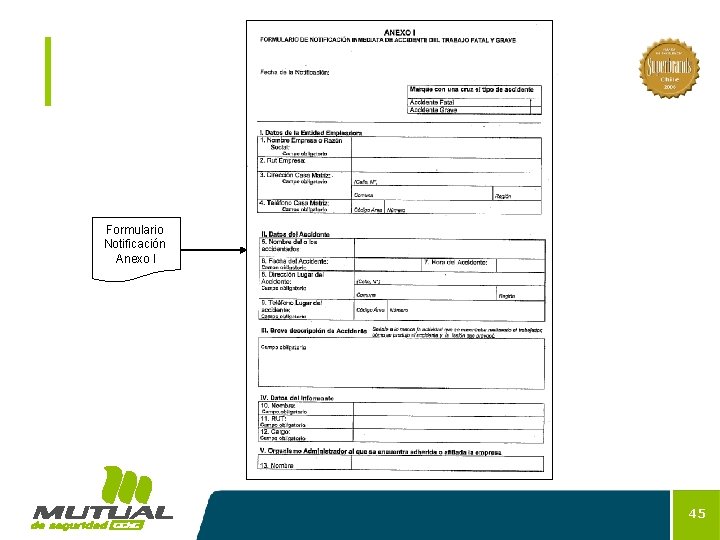 Formulario Notificación Anexo I 45 