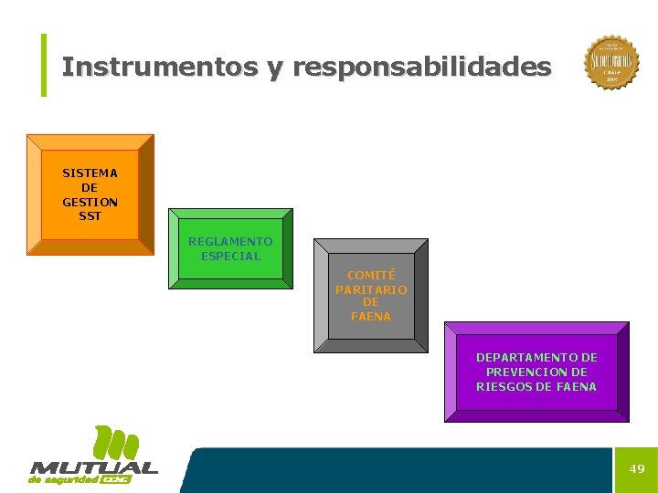 Instrumentos y responsabilidades SISTEMA DE GESTION SST REGLAMENTO ESPECIAL COMITÉ PARITARIO DE FAENA DEPARTAMENTO