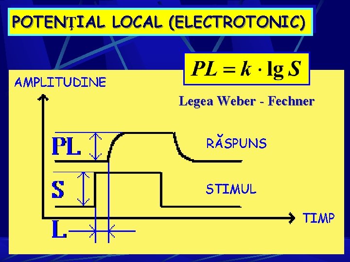 POTENŢIAL LOCAL (ELECTROTONIC) Legea Weber - Fechner POTENŢIAL LOCAL (ELECTROTONIC) Legea Weber - Fechner