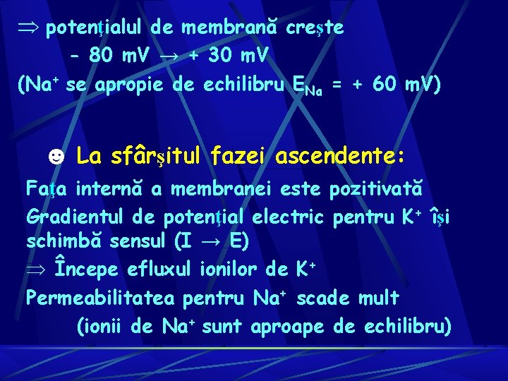 Þ potenţialul de membrană creşte - 80 m. V → + 30 m. V