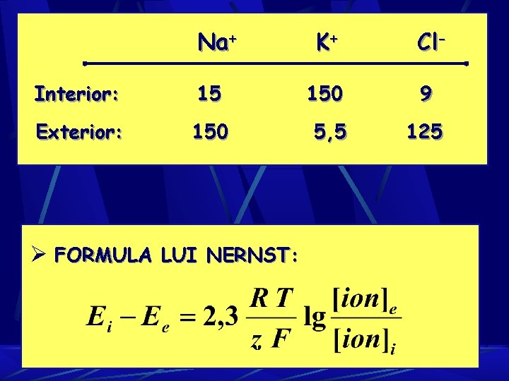 Na+ K+ Cl- Interior: 15 150 9 Exterior: 150 5, 5 125 Ø FORMULA Na+ K+ Cl- Interior: 15 150 9 Exterior: 150 5, 5 125 Ø FORMULA