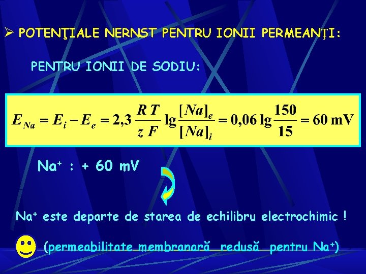 Ø POTENŢIALE NERNST PENTRU IONII PERMEANŢI: PENTRU IONII DE SODIU: Na+ : + 60