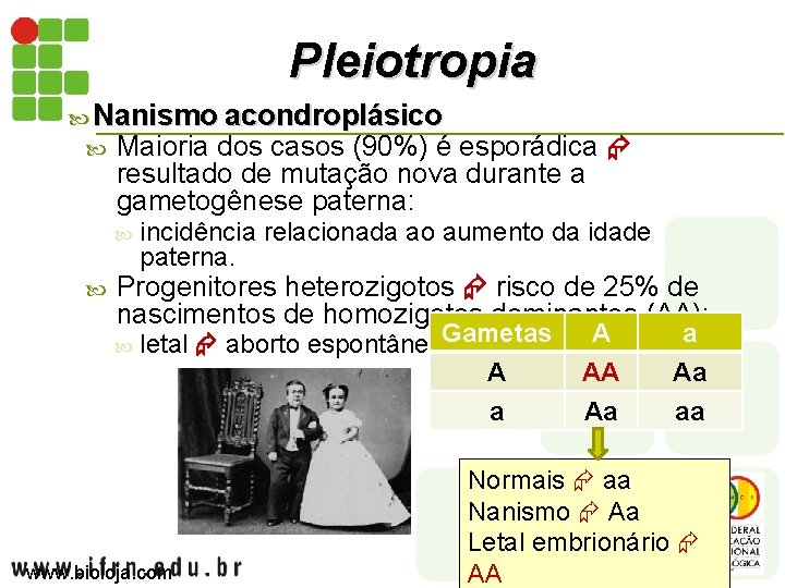 Pleiotropia Nanismo acondroplásico Maioria dos casos (90%) é esporádica resultado de mutação nova durante